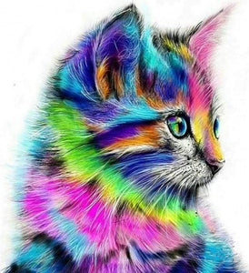 Schilderen op Nummer - Kleurrijk Katje