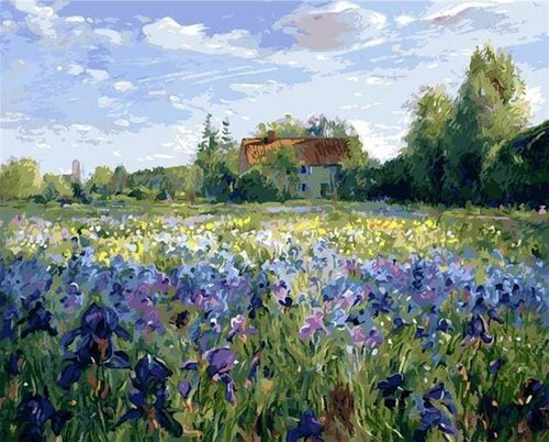 Schilderen op Nummer - Platteland veld en blauwe bloemen