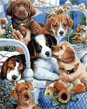 Afbeelding in Gallery-weergave laden, Schilderen op Nummer - Schattige honden