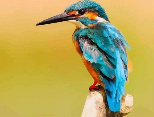 Schilderen op Nummer - Schattige kleine vogel