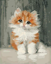 Afbeelding in Gallery-weergave laden, Schilderen op Nummer - Schattige kleine kat