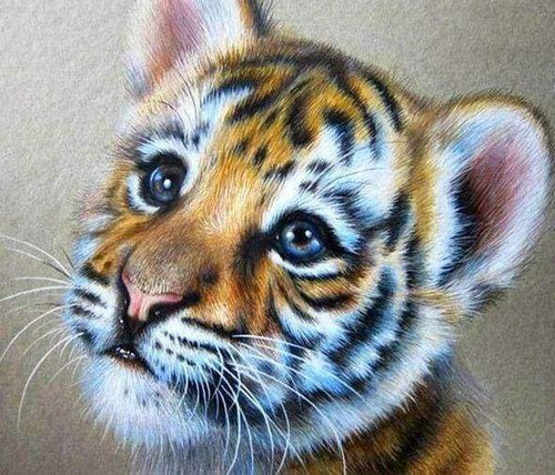 Diamond Painting - Baby tijger dieren, Diamond Painting Dieren, tijgers