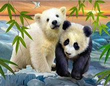 Afbeelding in Gallery-weergave laden, Diamond Painting - Beer en Panda dieren, beer, Diamond Painting Dieren, panda&#39;s