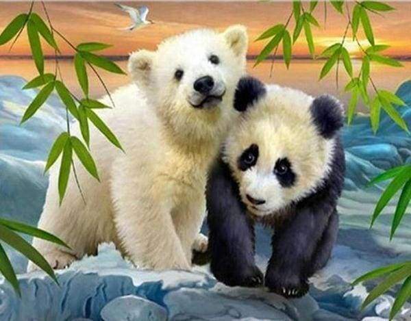 Diamond Painting - Beer en Panda dieren, beer, Diamond Painting Dieren, panda's