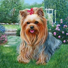 Afbeelding in Gallery-weergave laden, Diamond Painting - Bichon Maltees hond dieren, Diamond Painting Dieren, honden