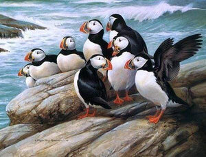 Diamond Painting - Vogels aan zee dieren, vogels, Diamond Painting Dieren