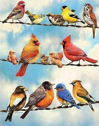 Diamond Painting - Vogels lijnen dieren, vogels, Diamond Painting Dieren