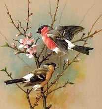 Afbeelding in Gallery-weergave laden, Diamond Painting - Vogels op Tak dieren, vogels, Diamond Painting Dieren