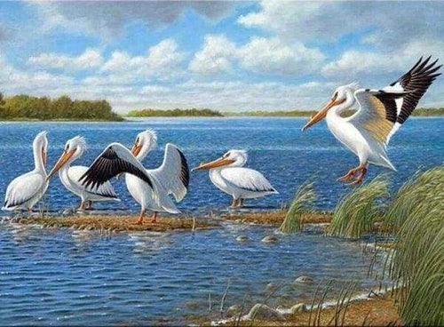 Diamond Painting - Vogels op het meer dieren, vogels, Diamond Painting Dieren