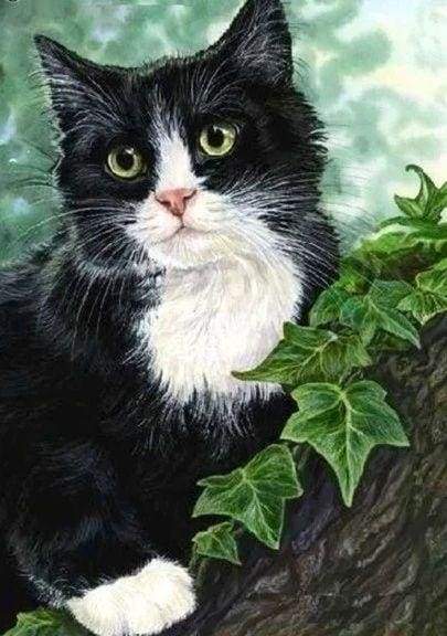 Diamond Zwart-witte kat – Figured'Art