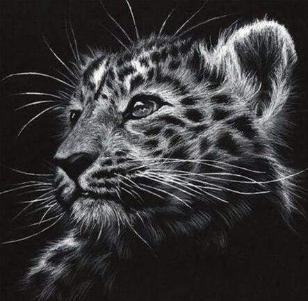 Diamond Painting - Luipaard zwart-wit dieren, Diamond Painting Dieren, luipaarden