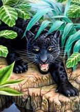 Afbeelding in Gallery-weergave laden, Diamond Painting - Zwarte Panter dieren, Diamond Painting Dieren, panters