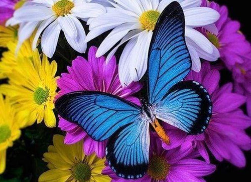Diamond Painting - Blauwe vlinder en bloemen dieren, vlinders, Diamond Painting Dieren, bloemen