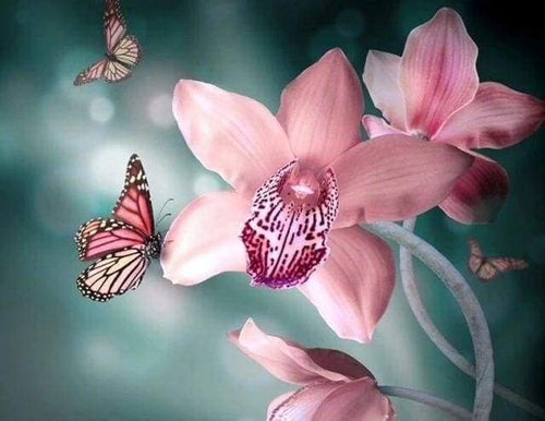 Diamond Painting - Vlinder en orchidee dieren, vlinders, Diamond Painting Dieren, Diamond Painting Bloemen, bloemen