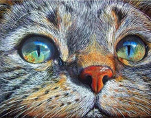 Afbeelding in Gallery-weergave laden, Diamond Painting - Kat gezicht dieren, katten, Diamond Painting Dieren