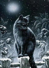 Afbeelding in Gallery-weergave laden, Diamond Painting - Kat in de sneeuw dieren, katten, Diamond Painting Dieren, winter