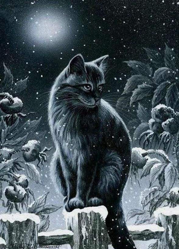 Diamond Painting - Kat in de sneeuw dieren, katten, Diamond Painting Dieren, winter