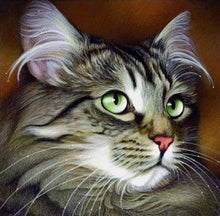 Afbeelding in Gallery-weergave laden, Diamond Painting - Portret katten dieren, katten, Diamond Painting Dieren