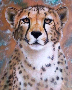 Diamond Painting - Cheetah gezicht dieren, Diamond Painting Dieren