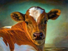 Afbeelding in Gallery-weergave laden, Diamond Painting - Koe dieren, koeien, Diamond Painting Dieren