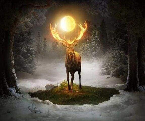 Diamond Painting - Herten en volle maan dieren, Diamond Painting Dieren
