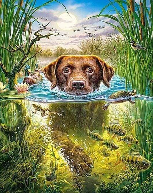 Diamond Painting - Hond in de stroom dieren, Diamond Painting Dieren, honden