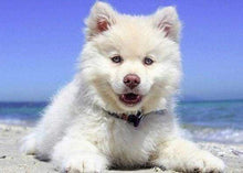 Afbeelding in Gallery-weergave laden, Diamond Painting - Hond op het strand dieren, Diamond Painting Dieren, honden