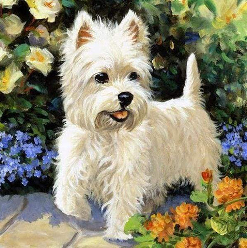 Diamond Painting - Hond Westie dieren, Diamond Painting Dieren, honden