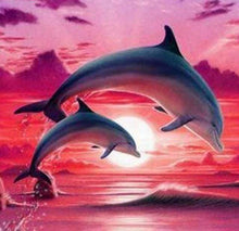 Afbeelding in Gallery-weergave laden, Diamond Painting - Dolfijnen bij zonsondergang dieren, Diamond Painting Dieren, dolfijnen