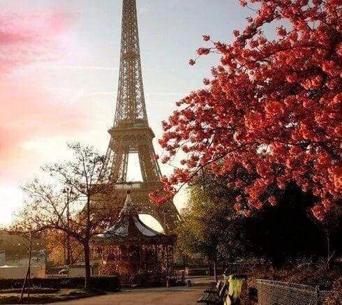 Diamond Painting - Eiffeltoren en rode bloemen steden, Diamond Painting Steden, bomen