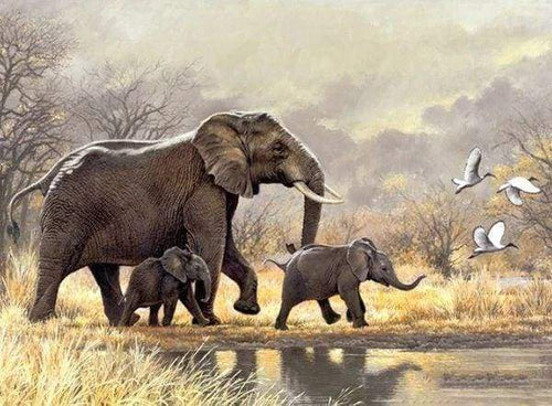 Diamond Painting - Familie van olifanten in de savanne dieren, Diamond Painting Dieren, olifanten