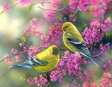 Afbeelding in Gallery-weergave laden, Diamond Painting - Bloeiende tak op vogels dieren, vogels, Diamond Painting Dieren