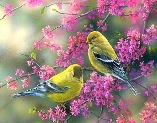 Diamond Painting - Bloeiende tak op vogels dieren, vogels, Diamond Painting Dieren