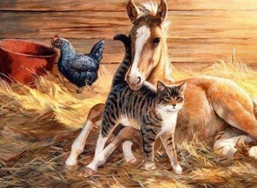 Diamond Painting - Veulen en kat dieren, Diamond Painting Dieren