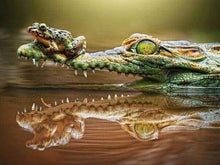 Afbeelding in Gallery-weergave laden, Diamond Painting - Kikker en krokodil dieren, Diamond Painting Dieren, kikkers
