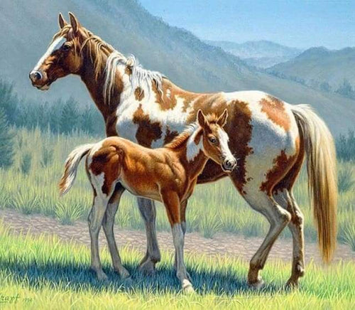 Diamond Painting - Paard en veulen dieren, Diamond Painting Dieren, paarden
