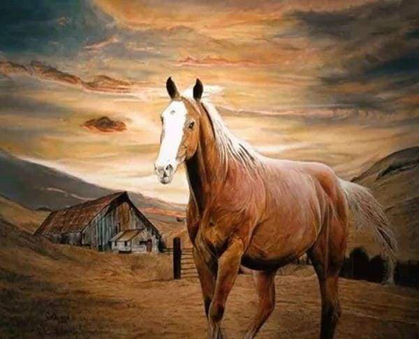 Diamond Painting - Paard in de schemering dieren, Diamond Painting Dieren, paarden