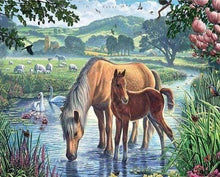 Afbeelding in Gallery-weergave laden, Diamond Painting - Paarden en kreek dieren, Diamond Painting Dieren, paarden