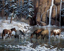 Afbeelding in Gallery-weergave laden, Diamond Painting - Paarden in de rivier dieren, Diamond Painting Dieren, Diamond Painting Landschappen, paarden, landschappen