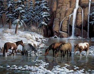 Diamond Painting - Paarden in de rivier dieren, Diamond Painting Dieren, Diamond Painting Landschappen, paarden, landschappen