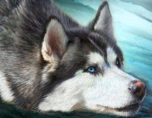 Diamond Painting - Husky met blauwe ogen dieren, Diamond Painting Dieren