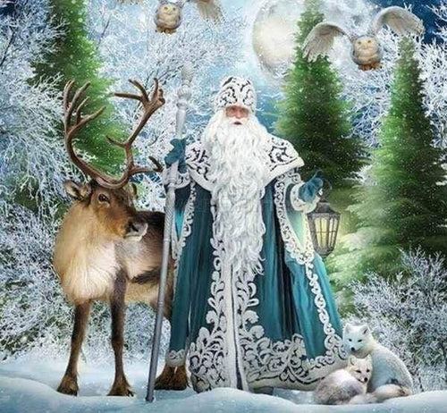 Diamond Painting - Koning van het bos dieren, Diamond Painting Dieren, winter