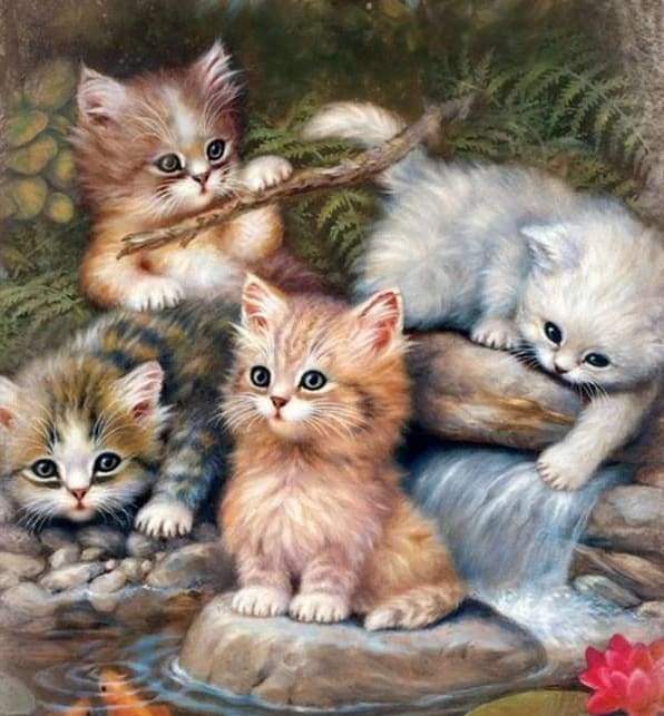 Diamond Painting - Spelende kittens dieren, katten, Diamond Painting Dieren