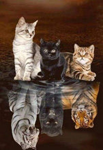 Afbeelding in Gallery-weergave laden, Diamond Painting - Kitten reflectie dieren, katten, Diamond Painting Dieren