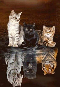 Diamond Painting - Kitten reflectie dieren, katten, Diamond Painting Dieren