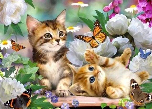 Diamond Painting - Kittens en vlinders dieren, vlinders, katten, Diamond Painting Dieren