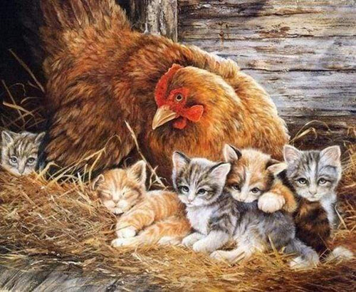 Diamond Painting - Kittens en Hen dieren, katten, Diamond Painting Dieren