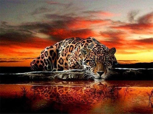Diamond Painting - Luipaard dieren, Diamond Painting Dieren, luipaarden