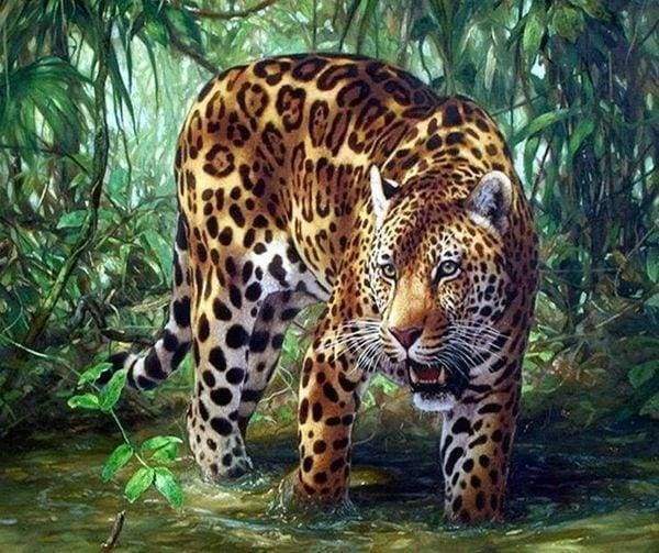 Diamond Painting - Luipaard in de jungle dieren, Diamond Painting Dieren, luipaarden