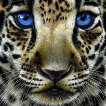 Afbeelding in Gallery-weergave laden, Diamond Painting - Luipaard met blauwe ogen dieren, Diamond Painting Dieren, luipaarden